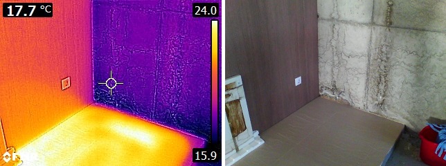 f40542ea-fa67-49b1-86a6-137c6049844f